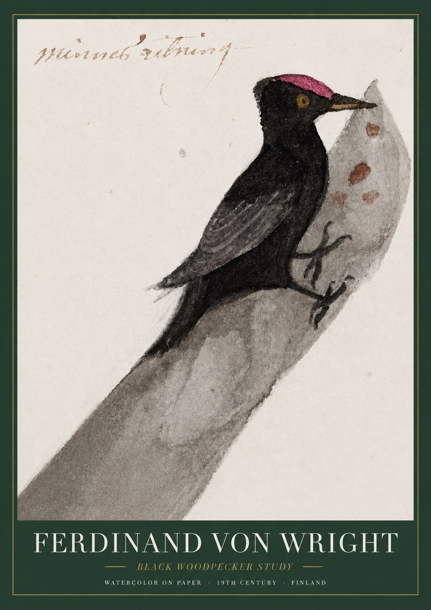 Ferdinand von Wright Black Woodpecker Study No3 - Plakat