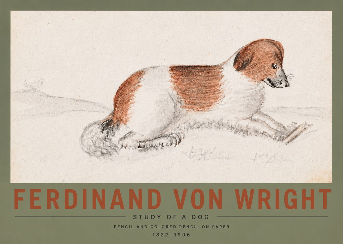 Ferdinand von Wright Study of a Dog No5 - Plakat